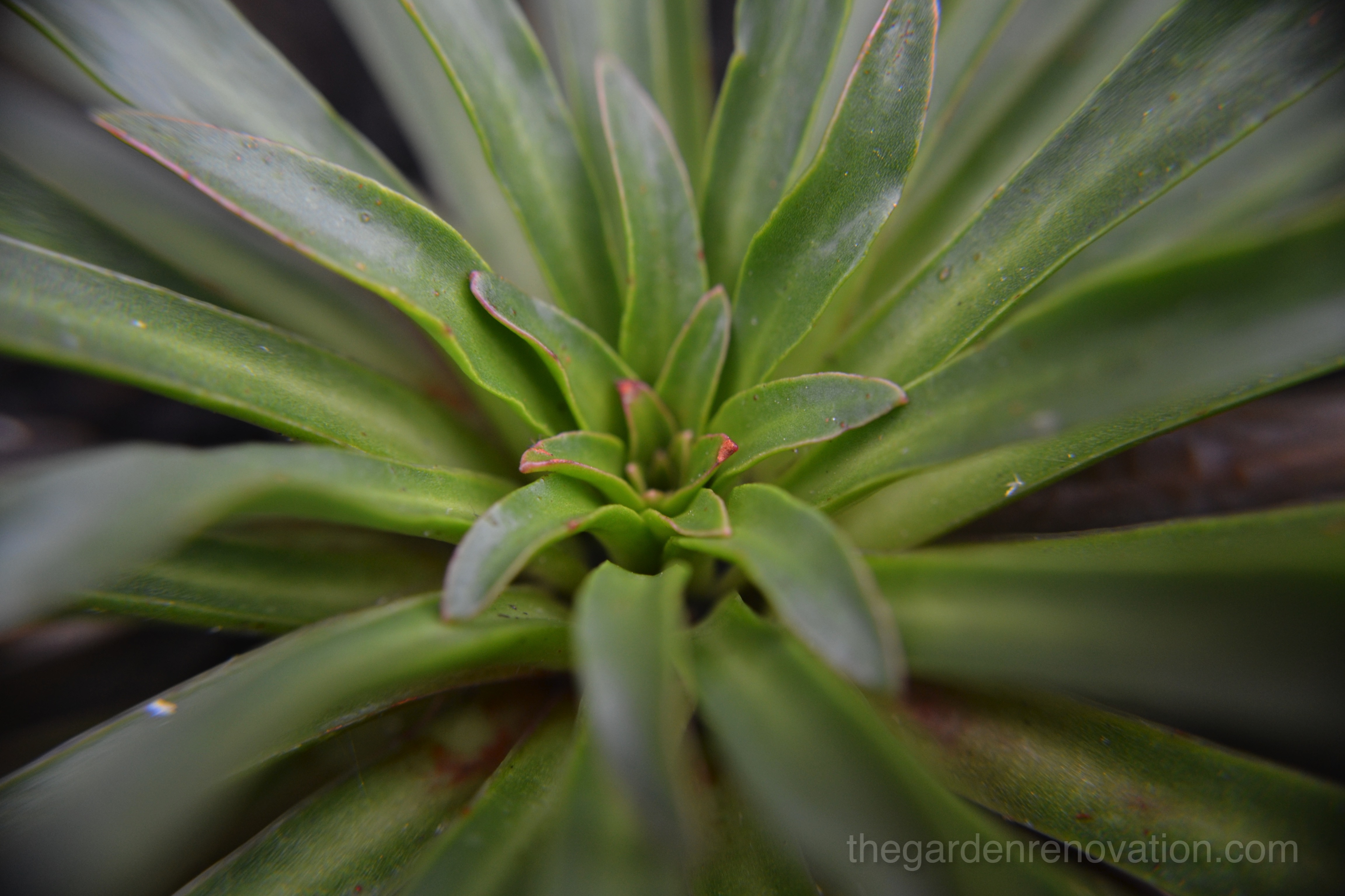 Weekend 1  – Demolishing metal shed and partially removing decking