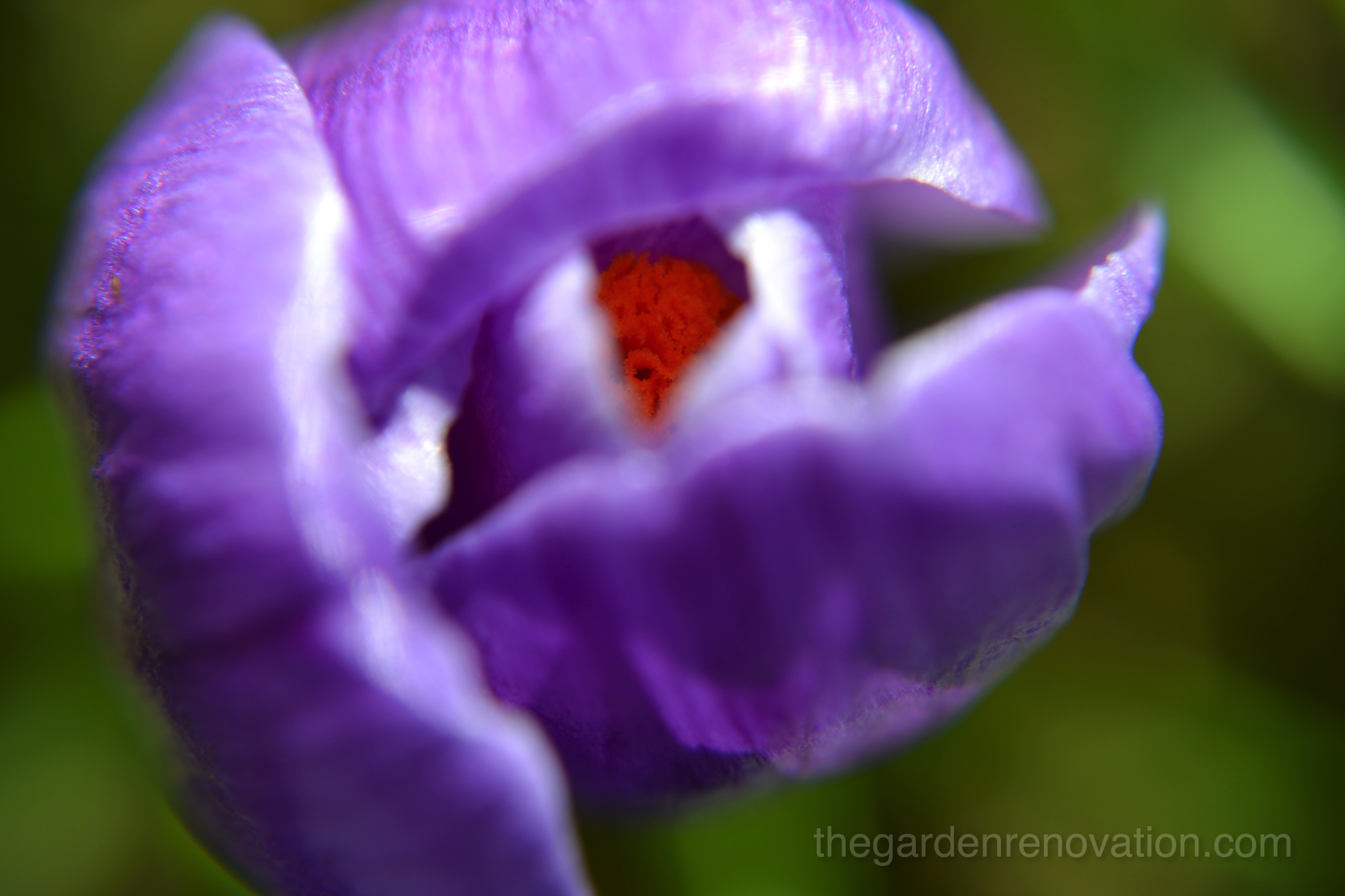 Weekend 6 - Fixing concrete fence post and more digging