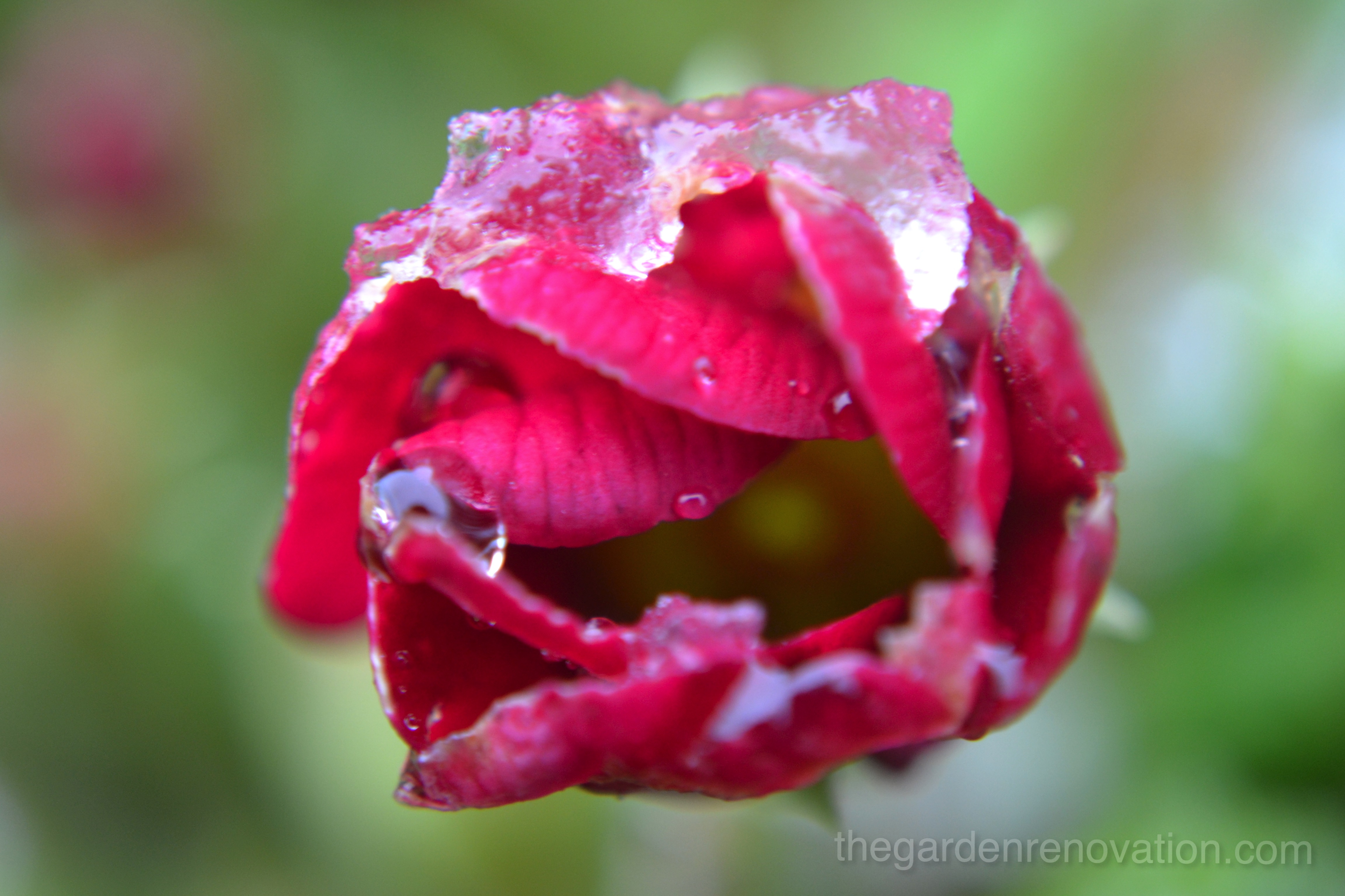 Weekend 4 - Digging to lay paving near the house