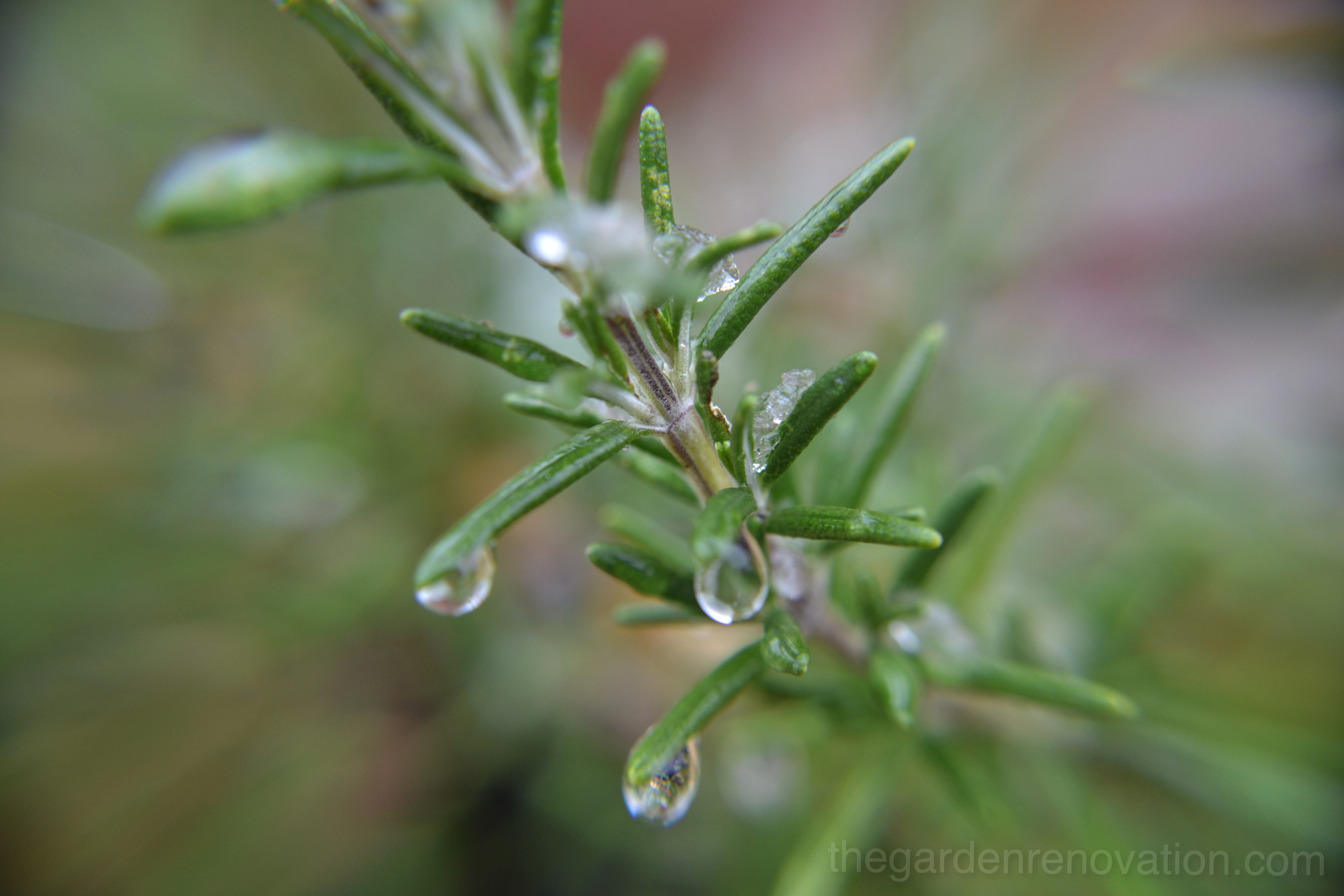 Weekend 3 - Digging into the platform