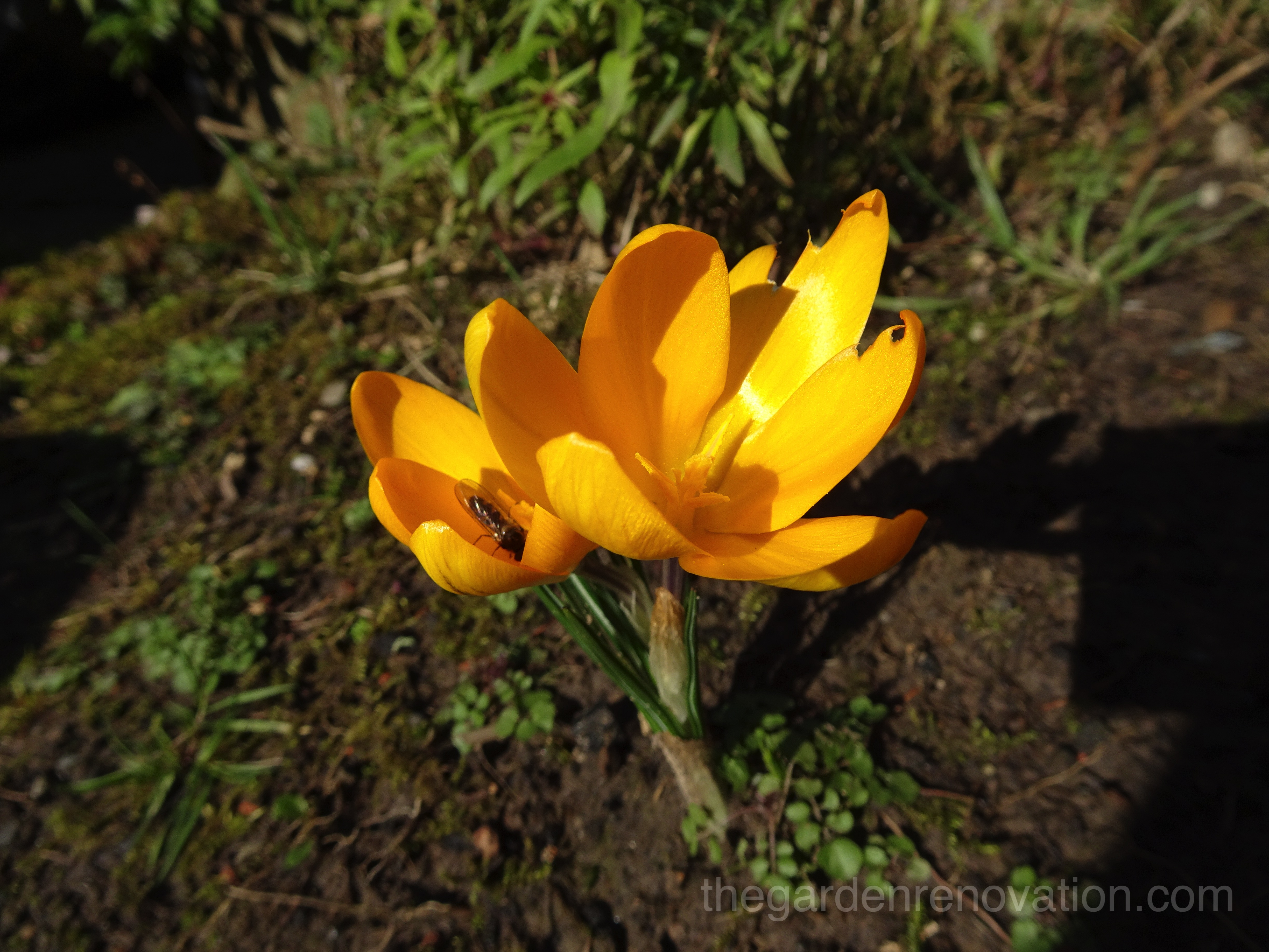 Weekend 7 - Installing garden drainage and removing some brickwork