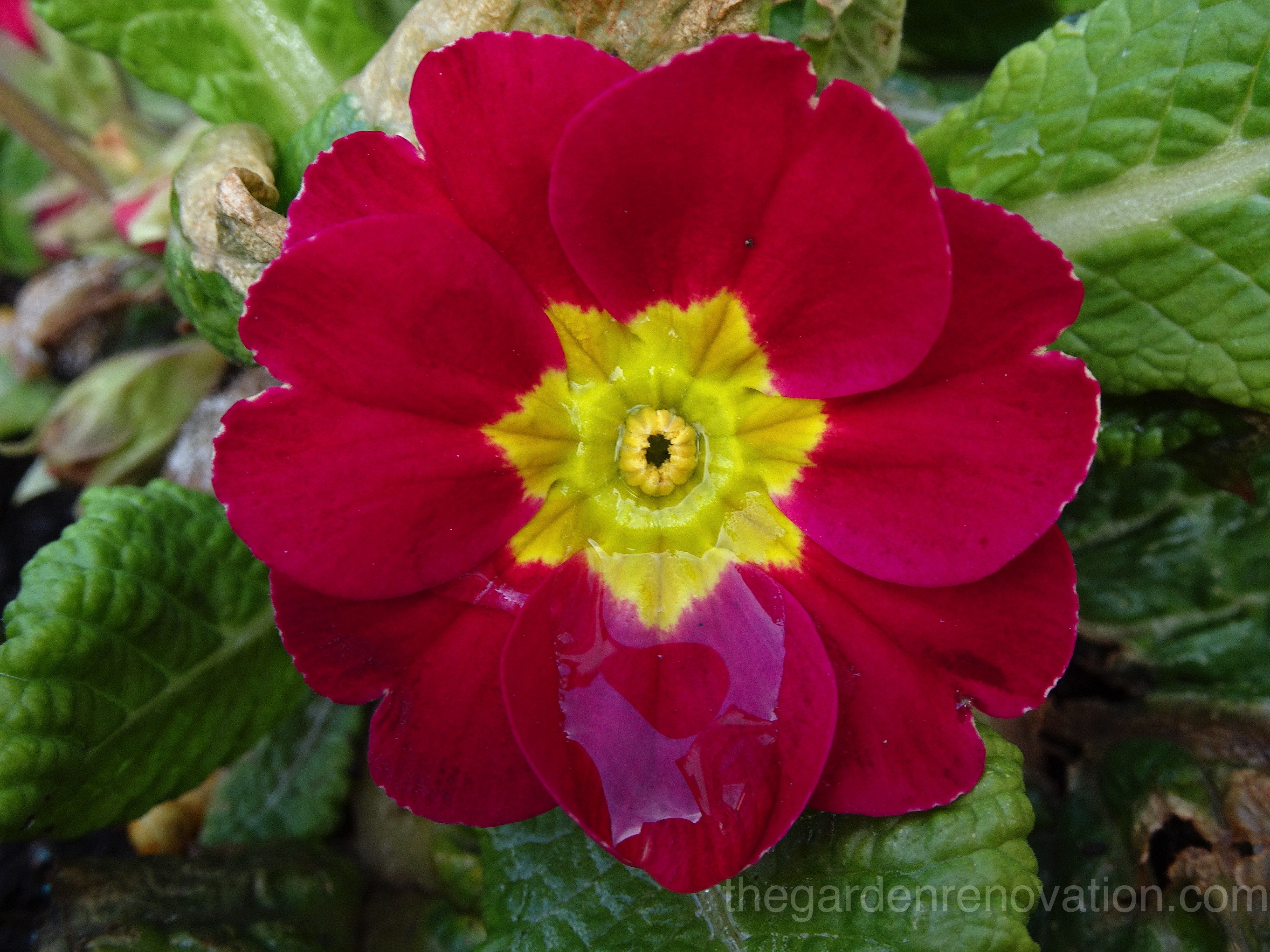 Weekend 9 - Setting up garden drainage (final attempt) and a surprise behind retaining wall