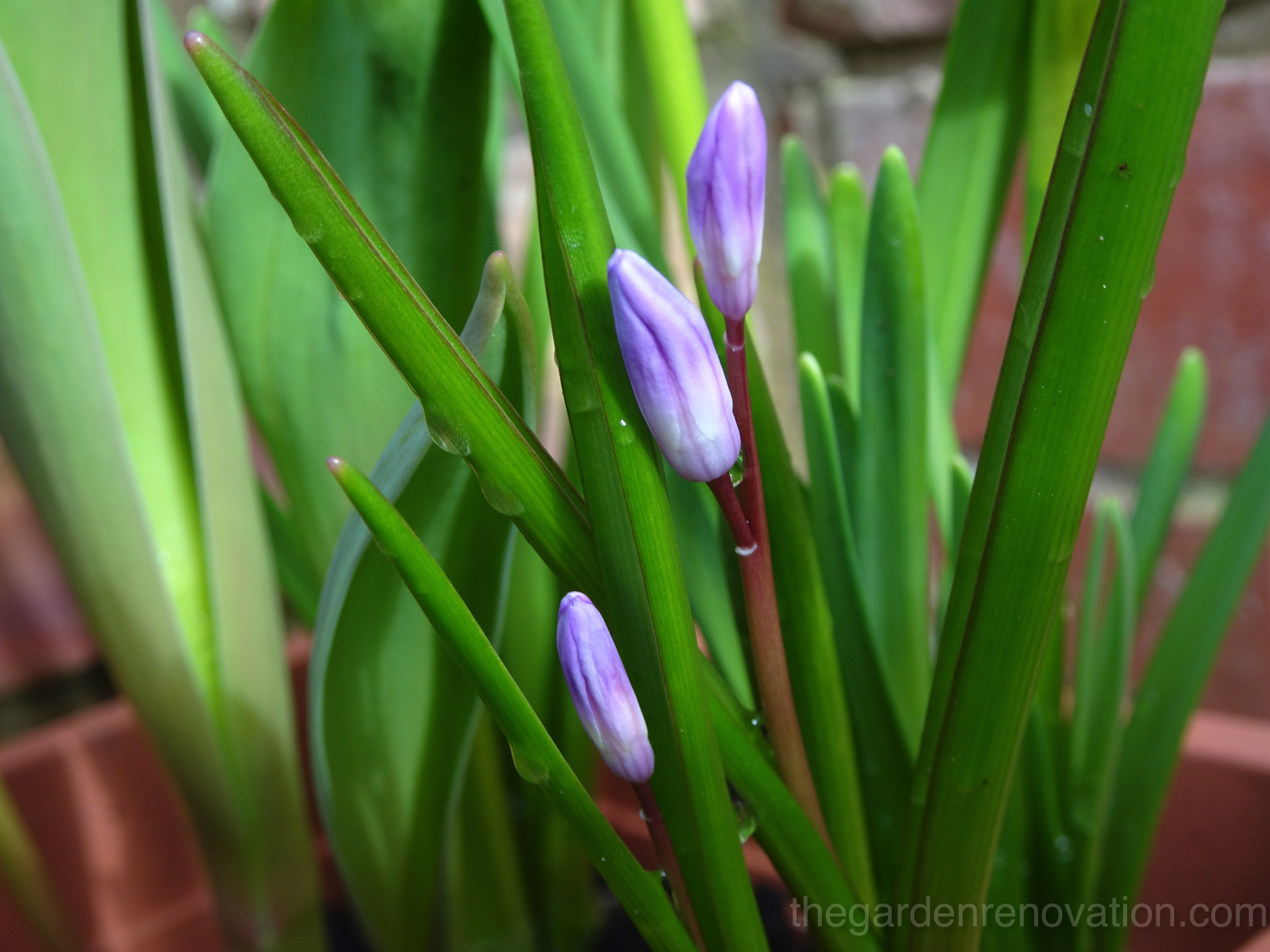 Weekend 11 - Finally paving!!