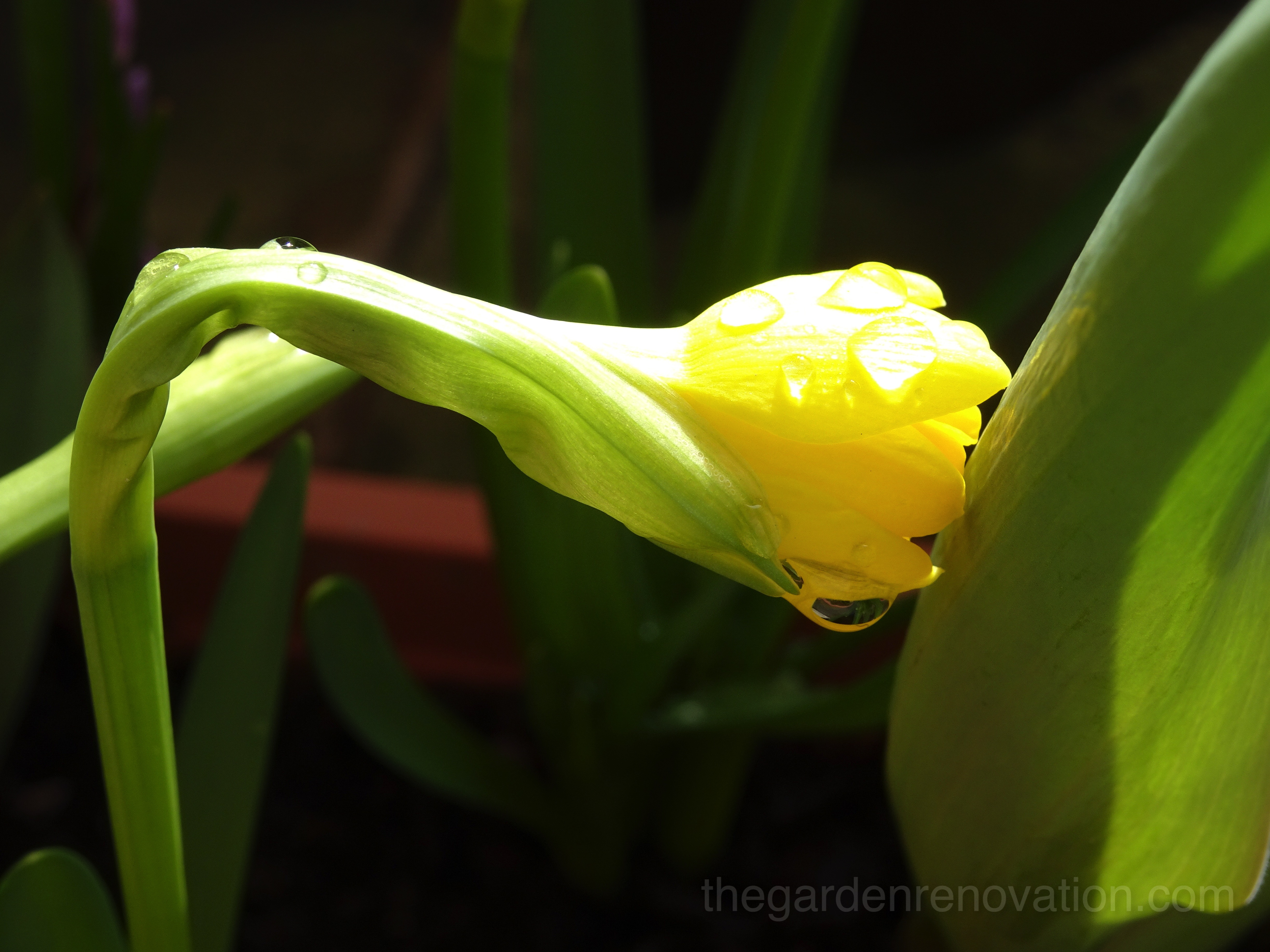 Weekend 8 - Demolishing stone retaining wall and garden drainage fail