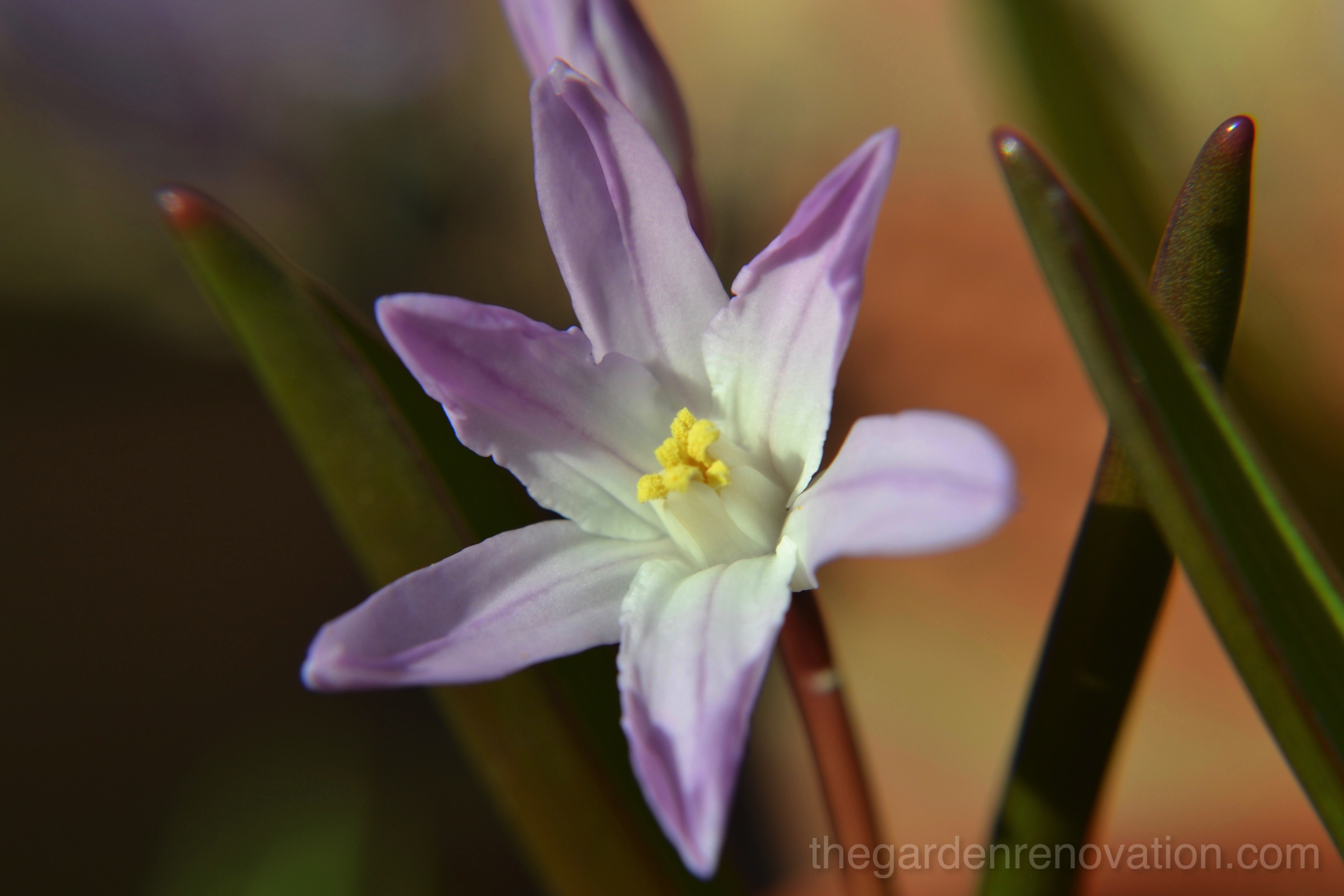Weekend 14 – Garden Retaining Wall #1 is up! Weekend 14 – Garden Retaining Wall #1 is up!