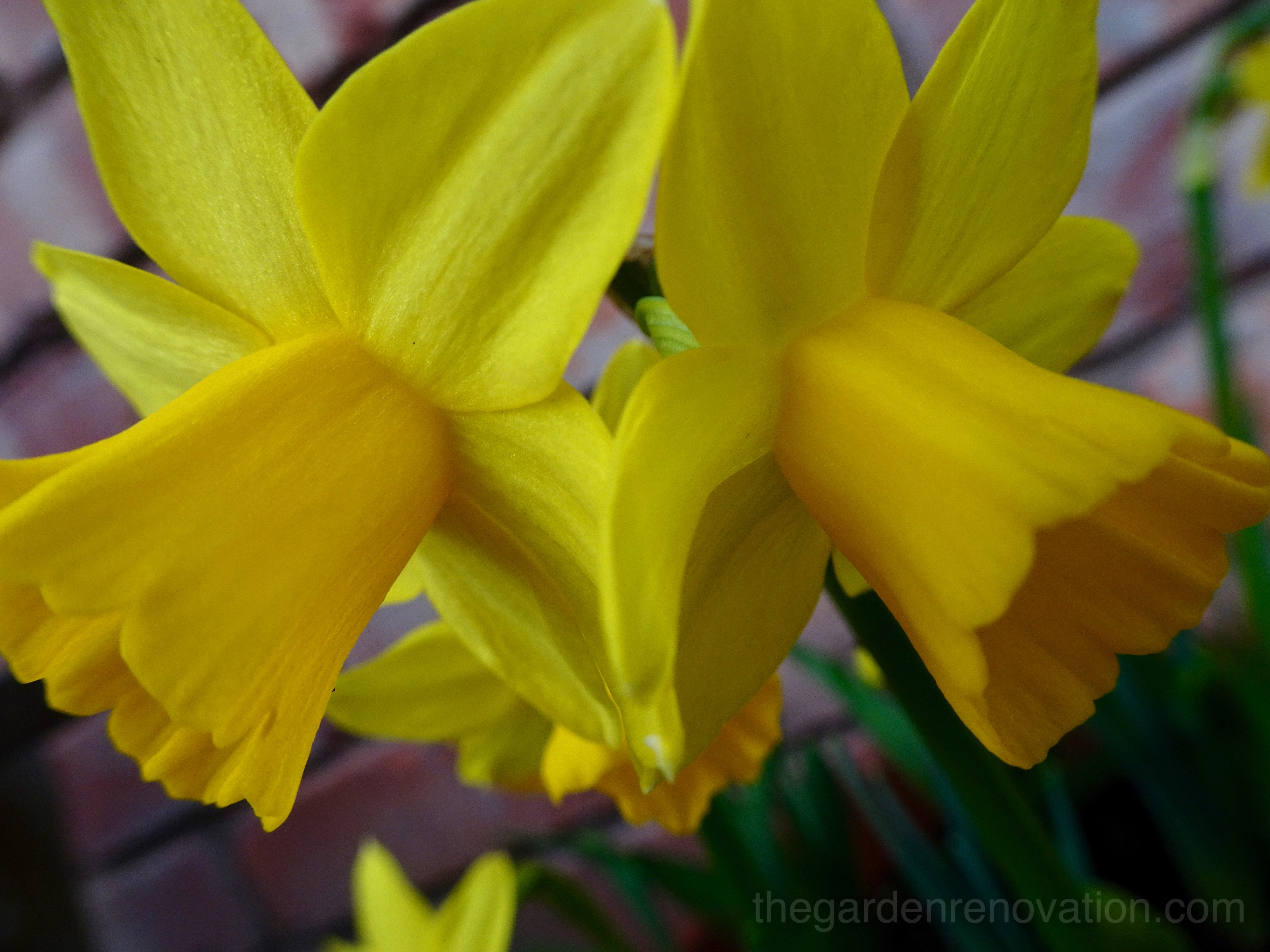 Weekend 13 - Building the fist retaining wall - part 1