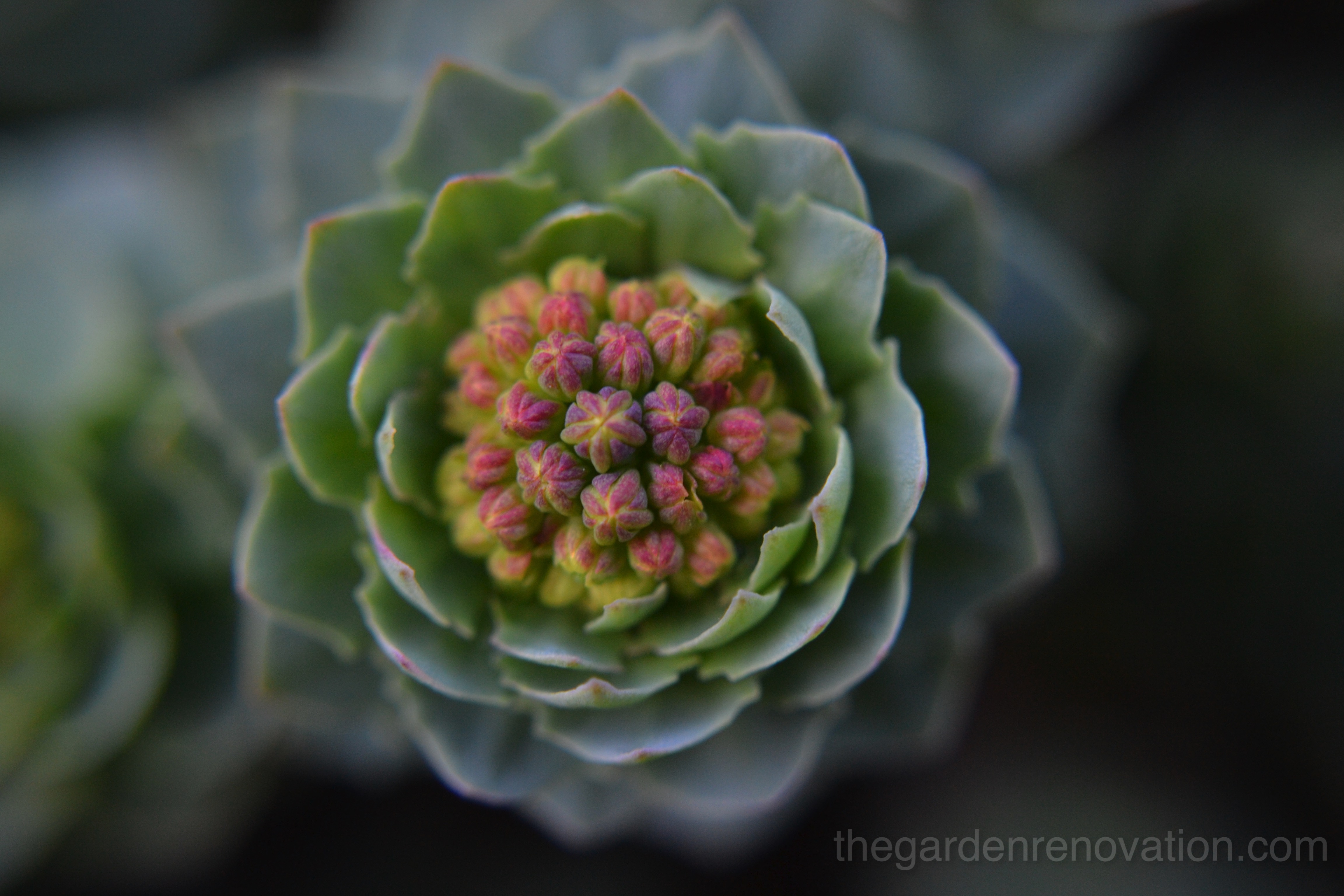 Weekend 15 and 16 – Levelling of the garden, making space for garden stairs and plenty of team work! Weekend 15 and 16 – Levelling of the garden, making space for garden stairs and plenty of team work!