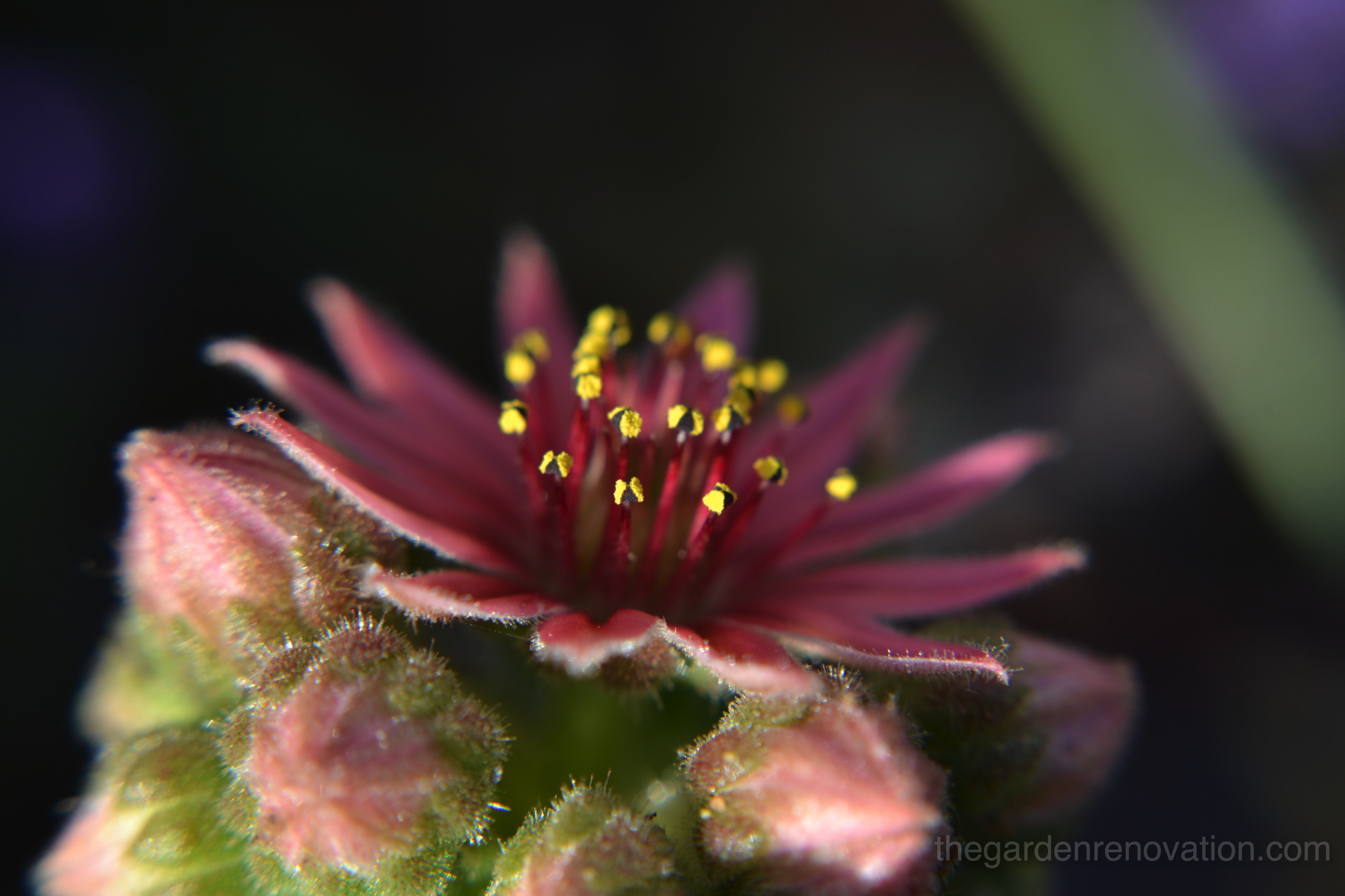 Part 18 – Oh my god, what has happened to us since July?! Part 18 – Oh my god, what has happened to us since July?!